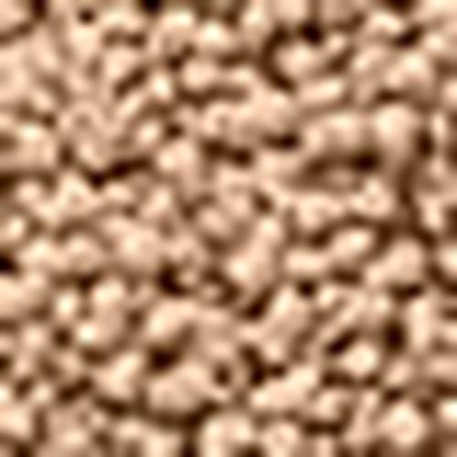 Browntop